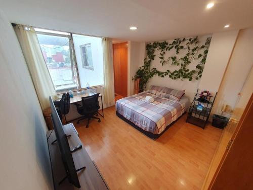 Private room in Roma Norte