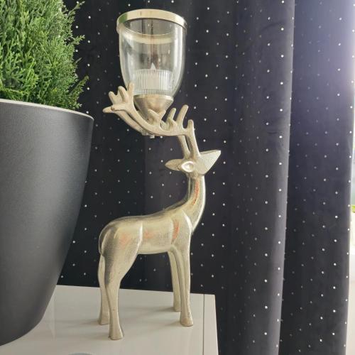 Apartamenty Magvel Jasna