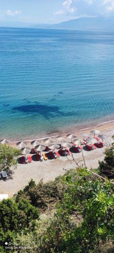 Koralli Sea View Hotel in Paralia Niforeikon