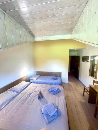 3 twin beds