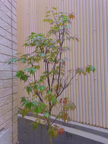 1分钟步行地铁站&关西机场直达3站难波天王寺心斋桥梅田直达&超新独栋4室1厅2厕1含浴缸大浴室1阳台&免费停车&楽の居Joy-inn, Ósaka (fotografie 8)