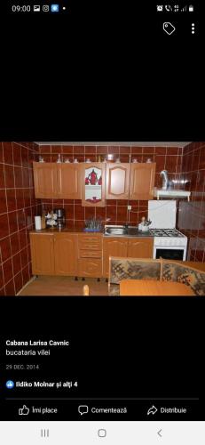 Cabana Larisa in Cavnic