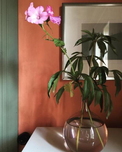 Vanhakylä gårdin Väentupa Vanhakylä gårdin Väentupa