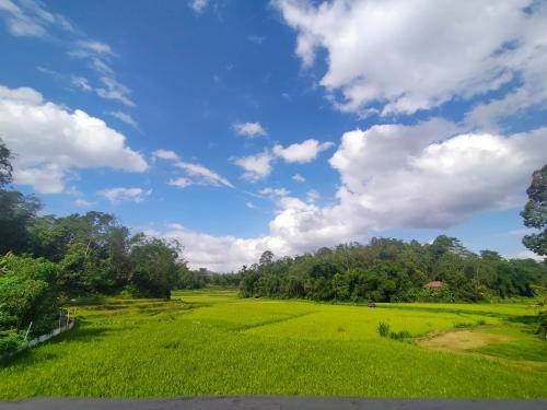 Wisma Samrat, Rantepao (fotografie 9)