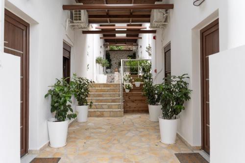 Leaves & Waves in 史圖米奧