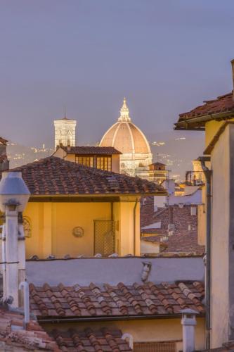 Apartments Florence - Maggio Terrace with view - image 4