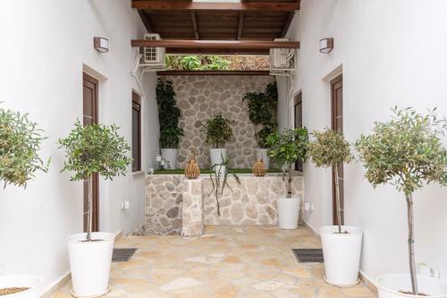 Leaves & Waves in 史圖米奧