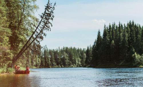 Koselig sommer og vinterhytte Koselig sommer og vinterhytte