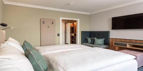 Superior Double Room with Balcony and mountain view  image 6