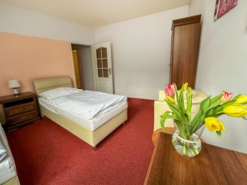 Hotel Růžek - image 12