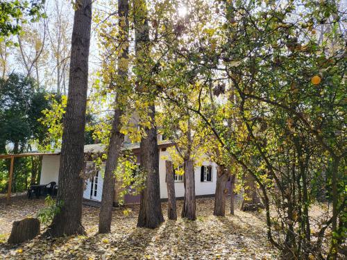 BABAJI Home in Las Tapias