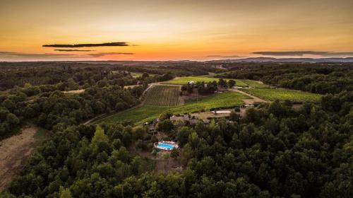 Domaine Les Hauts de Jeanvert - Piscine - Gaillac