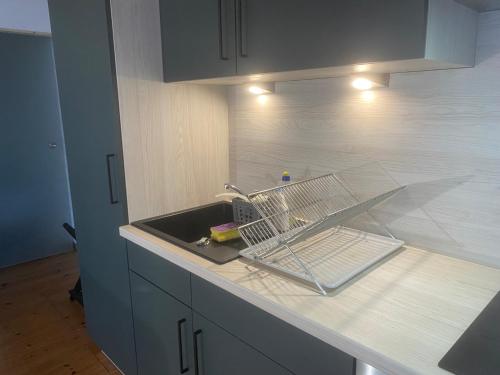 Ruhiger und renovierter Bungalow mit großem hundefreundlichem Garten zur Alleinnutzung in Adorf/Vogtl.