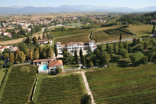Villa Dragoni - image 8