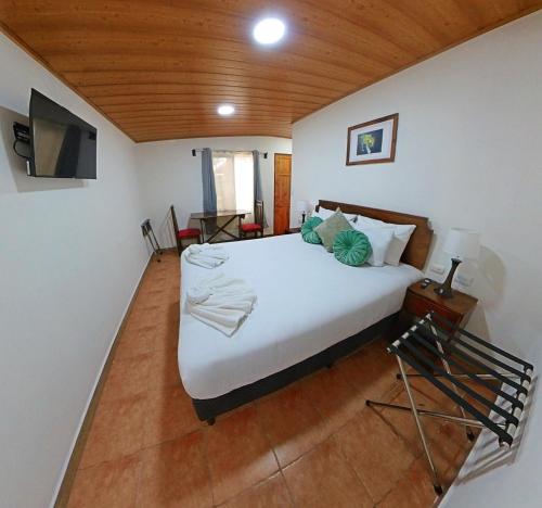 Casa Jungle Monteverde B&B