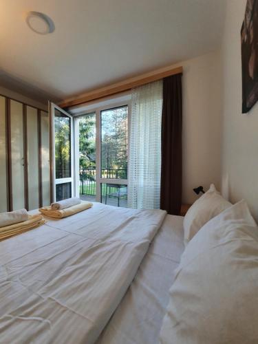 Apartmani Milutinovic - Hôtel - Divčibare