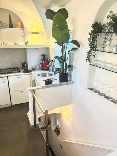 Navona Luxury Suite Apartment by NDP rent, Рим (фото 7)