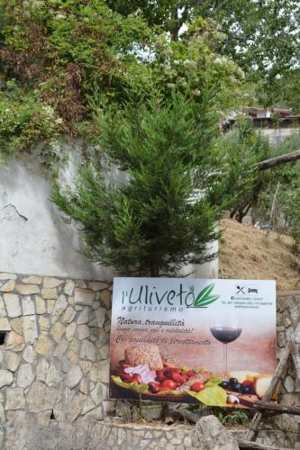 Agriturismo L'Uliveto