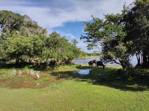 . Sengamuwa Farm House Villa