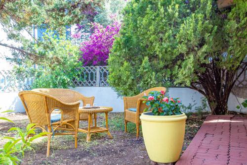 Salemi's Garden, free parking IUNS0217