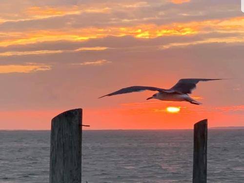 Bay Front 2 Bedroom And 2 Bath Condo in Beach Haven, USA