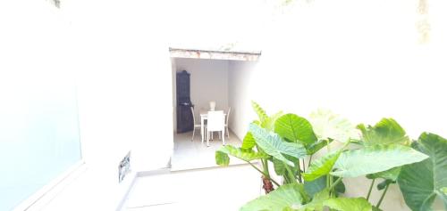 Duplex Anto 3