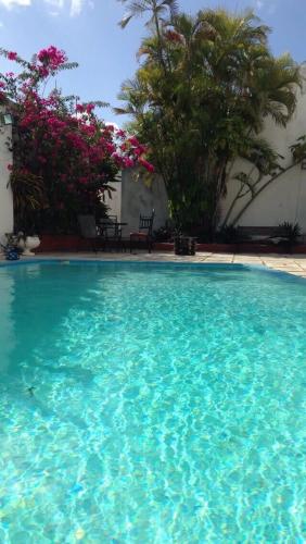 Complete Studio with Pool for 4 - loft habana in Mérida, Mexico