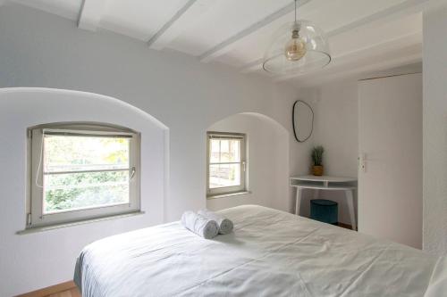 Chez Samuel 3 pièces au coeur de la Krutenau, Strasbourg (photo 8)