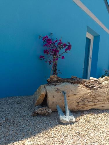 B&B Borgo Sabelli - Costa dei Trabocchi