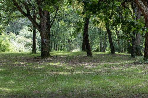 Le Domaine du Vert bois