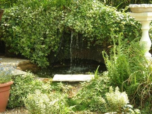 Haigs Hotel - image 7