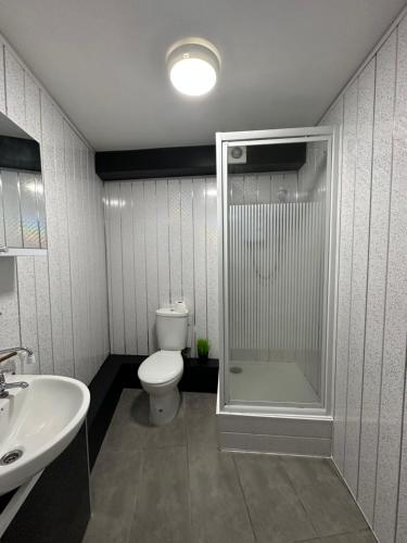 Modern & Cosy Studio Near City Centre, Leeds (fotografie 3)