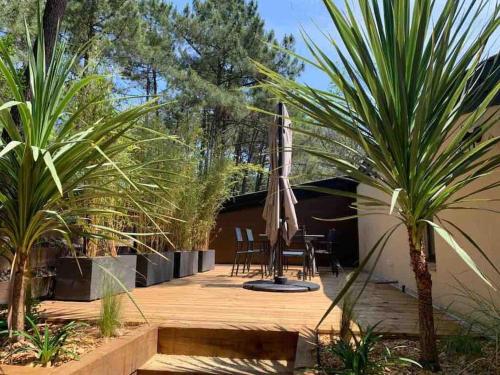 Lacanau Océan, grand logement, grandes terrasses, pinède - Location saisonnière - Lacanau