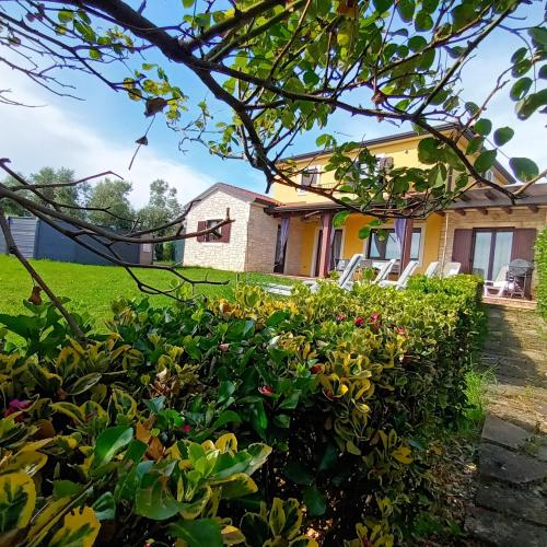 House Dolly [VR] – Porec, IA