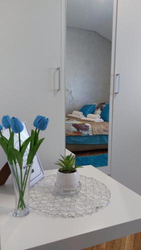 Plavi Tirkiz Plavi Tirkiz