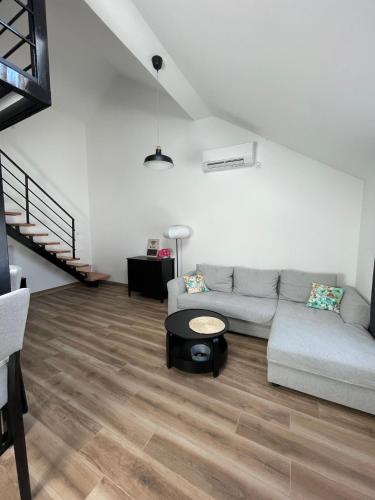 Apartment Magnolia gallery - Zemun