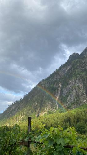Guesthouse Rexhepi, Valbonë (Guesthouse Rexhepi, Valbone) in Bajram Curri