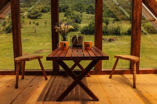 周邊環境, Magarija 1 in 積米特洛夫格勒