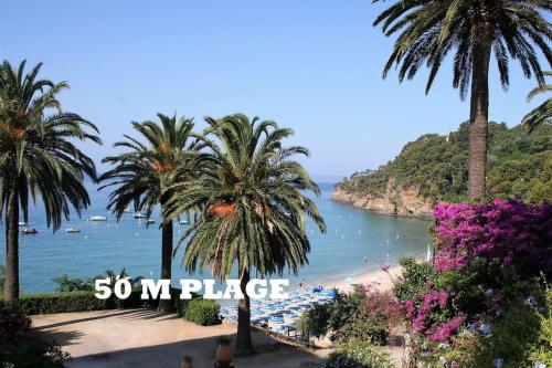 Clair de Lune - Location, gîte - Rayol-Canadel-sur-Mer