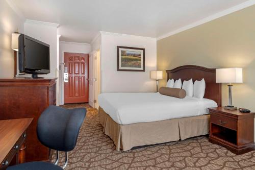 Best Western Salinas Monterey - image 7