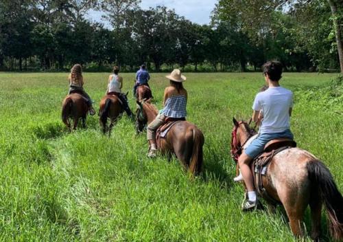 騎馬, Coquira Soil Project in 塞羅阿蘇爾