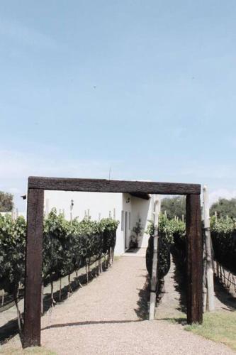 Mágica SUITE rodeada de viñedos (Magica SUITE rodeada de vinedos) in Olimpo