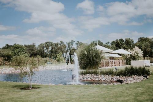 Mágica SUITE rodeada de viñedos (Magica SUITE rodeada de vinedos) in Olimpo