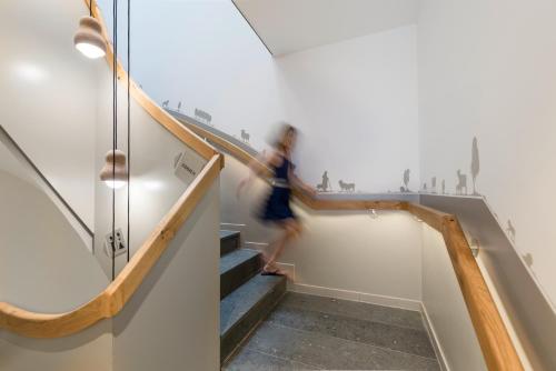 Schmucke Witwe in Bispingen, Deutschland