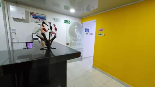 Hotel la garza roja in Villavicencio