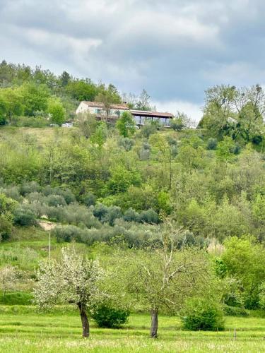 Magical Villa Glavini with Panoramic Views
