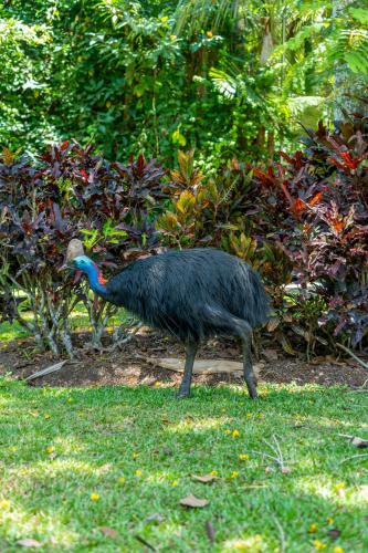 BIG4 Tasman Holiday Parks - South Mission Beach