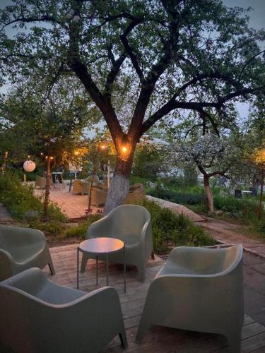 Riverfront Cabins in the garden