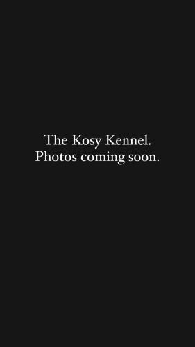 The Kosy Kennel