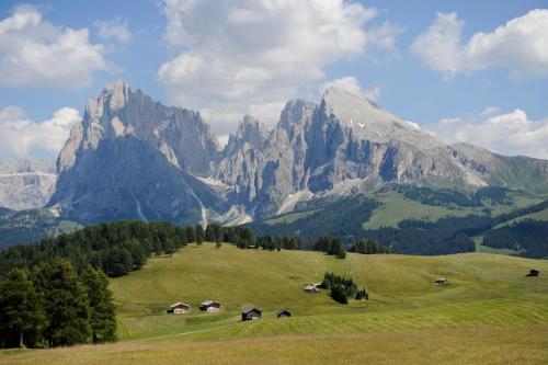 NaturResidence Dolomitenhof - image 5